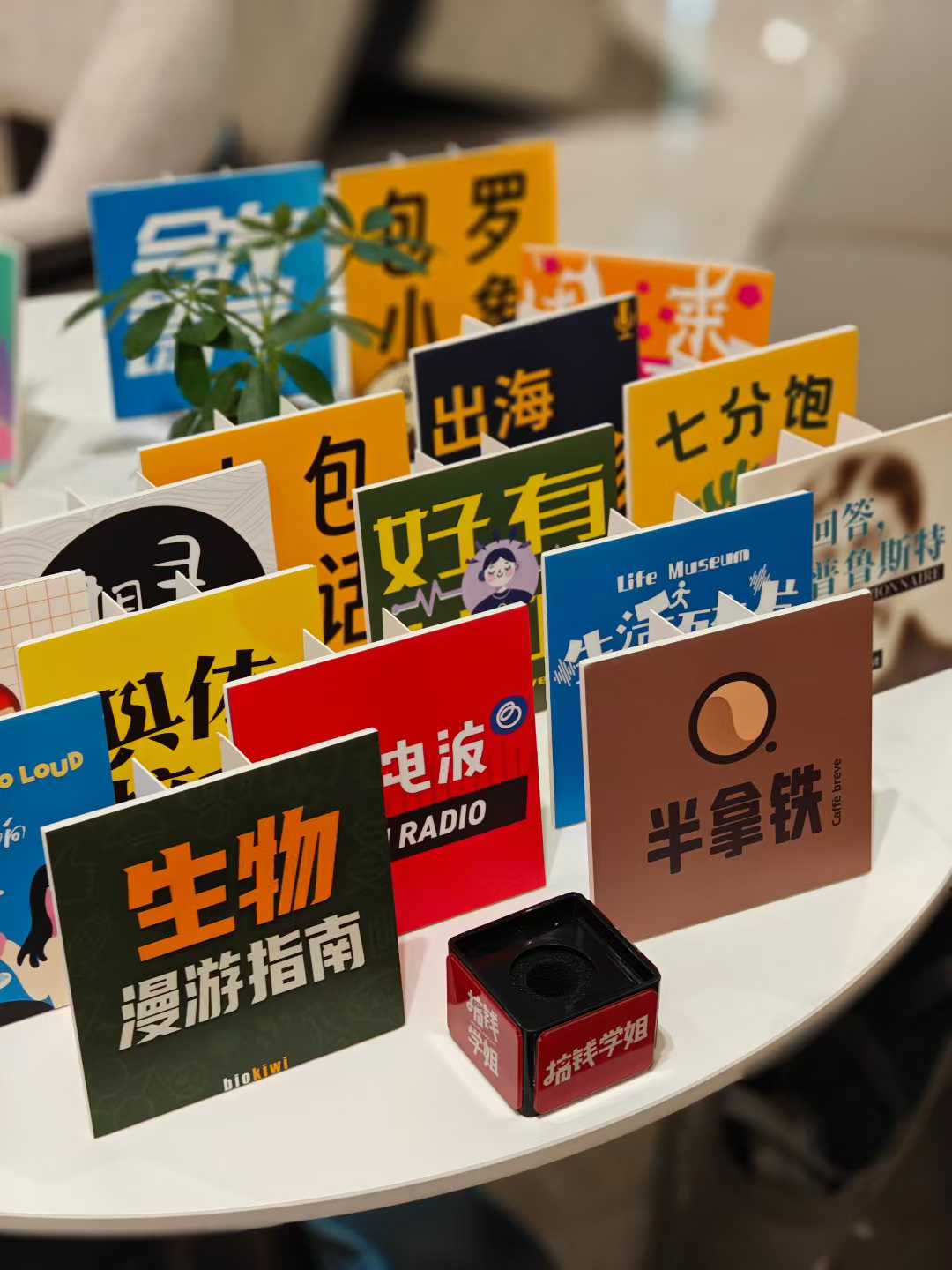 在现场，看见好有共鸣